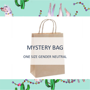 Mystery Bag - One Size Gender Neutral